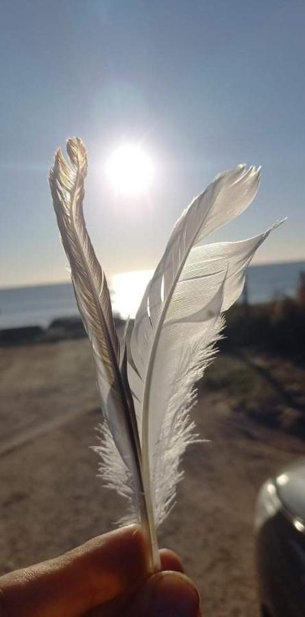 En Plein Coeur De L'Ile D'Oleron, Suite Parentale. โดลุส โดเลรง ภายนอก รูปภาพ