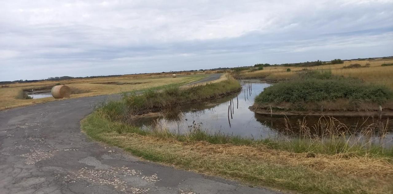 En Plein Coeur De L'Ile D'Oleron, Suite Parentale. โดลุส โดเลรง ภายนอก รูปภาพ